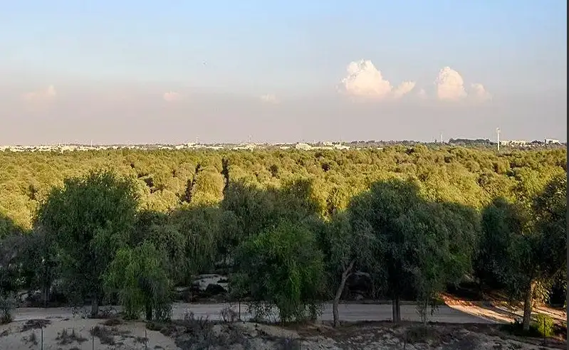 3-bedroom apartment in Mirdif Hills, Mirdif