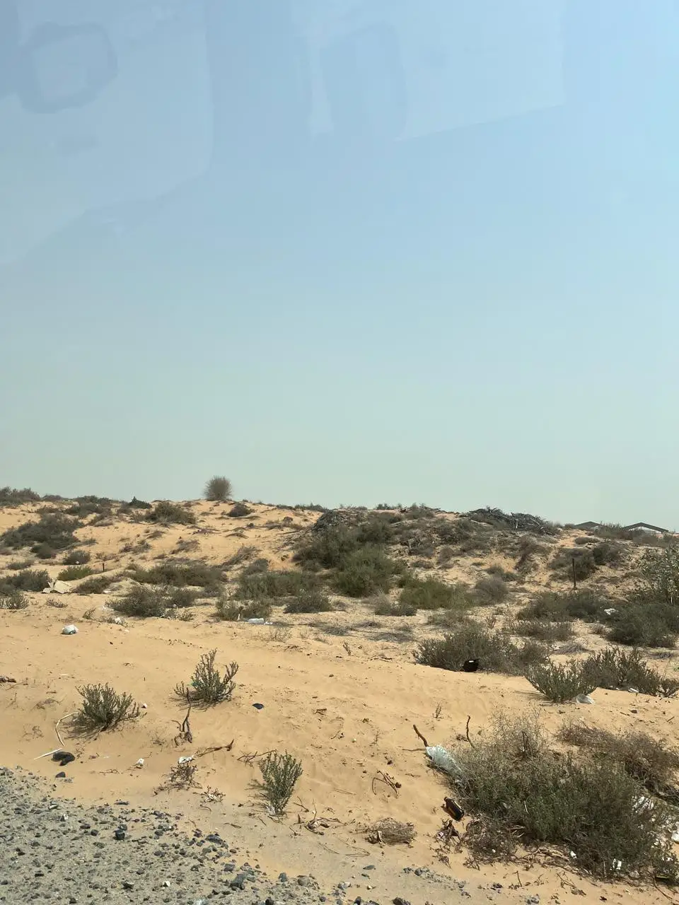 Commercial Plot in Al Sajaa