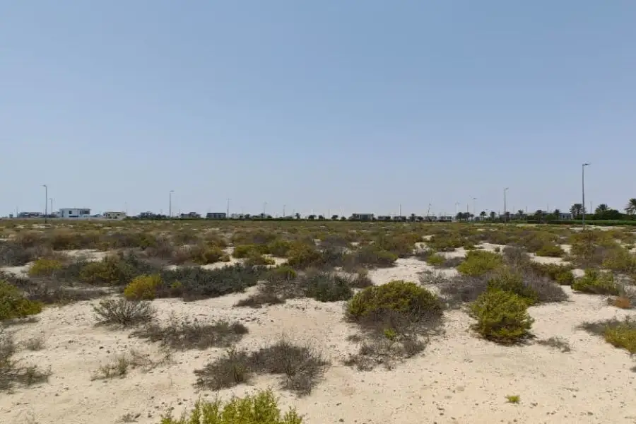 Studio residential land in Jebel Ali Hills, Jebel Ali